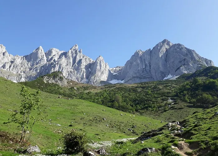 Bichlhof Going Lejlighed Going am Wilden Kaiser
